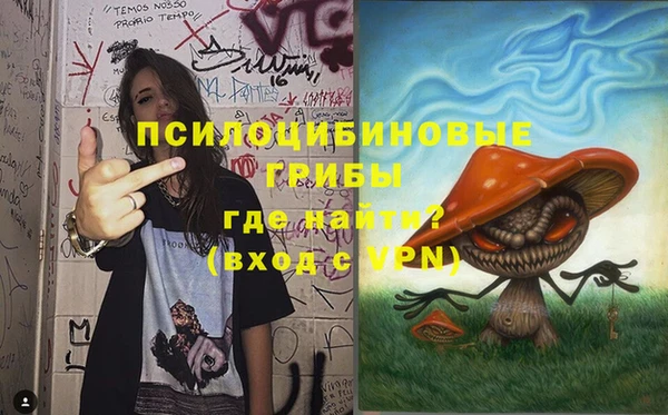 индика Белокуриха